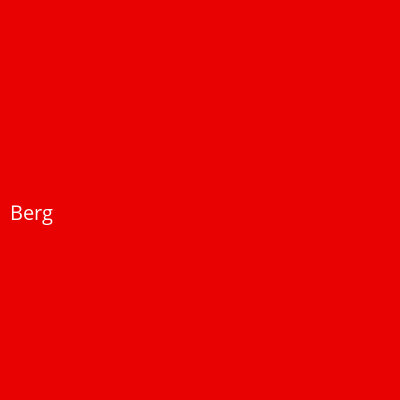 Berg