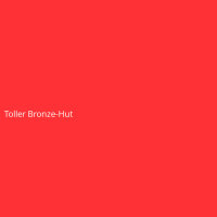 Toller Bronze-Hut