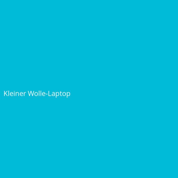 Kleiner Wolle-Laptop