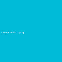 Kleiner Wolle-Laptop
