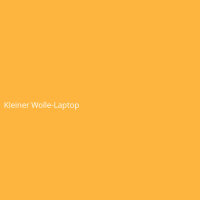 Kleiner Wolle-Laptop