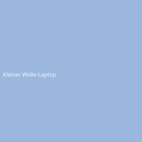 Kleiner Wolle-Laptop