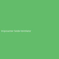 Imposanter Seide-Ventilator