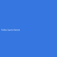 Tolles Samt-Hemd