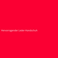 Hervorragender Leder-Handschuh